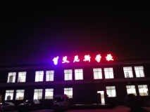 【艾尼斯學(xué)?！繕琼敯l(fā)光字效果